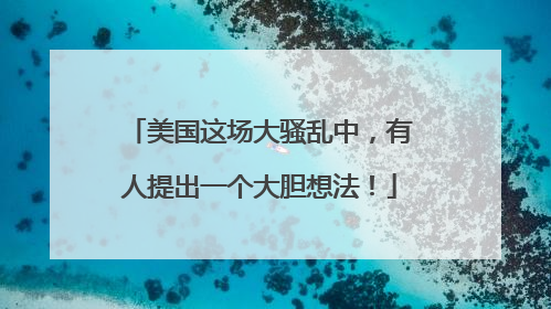 美国这场大骚乱中，有人提出一个大胆想法！